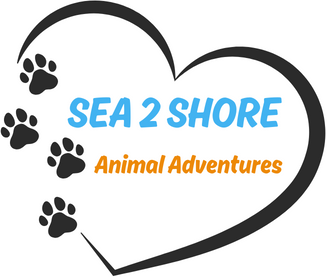 Sea 2 Shore Adventures